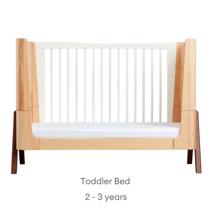 Hera Cot Bed Natural Ash Walnut in toddler bed mode for children aged 2 - 3 years.