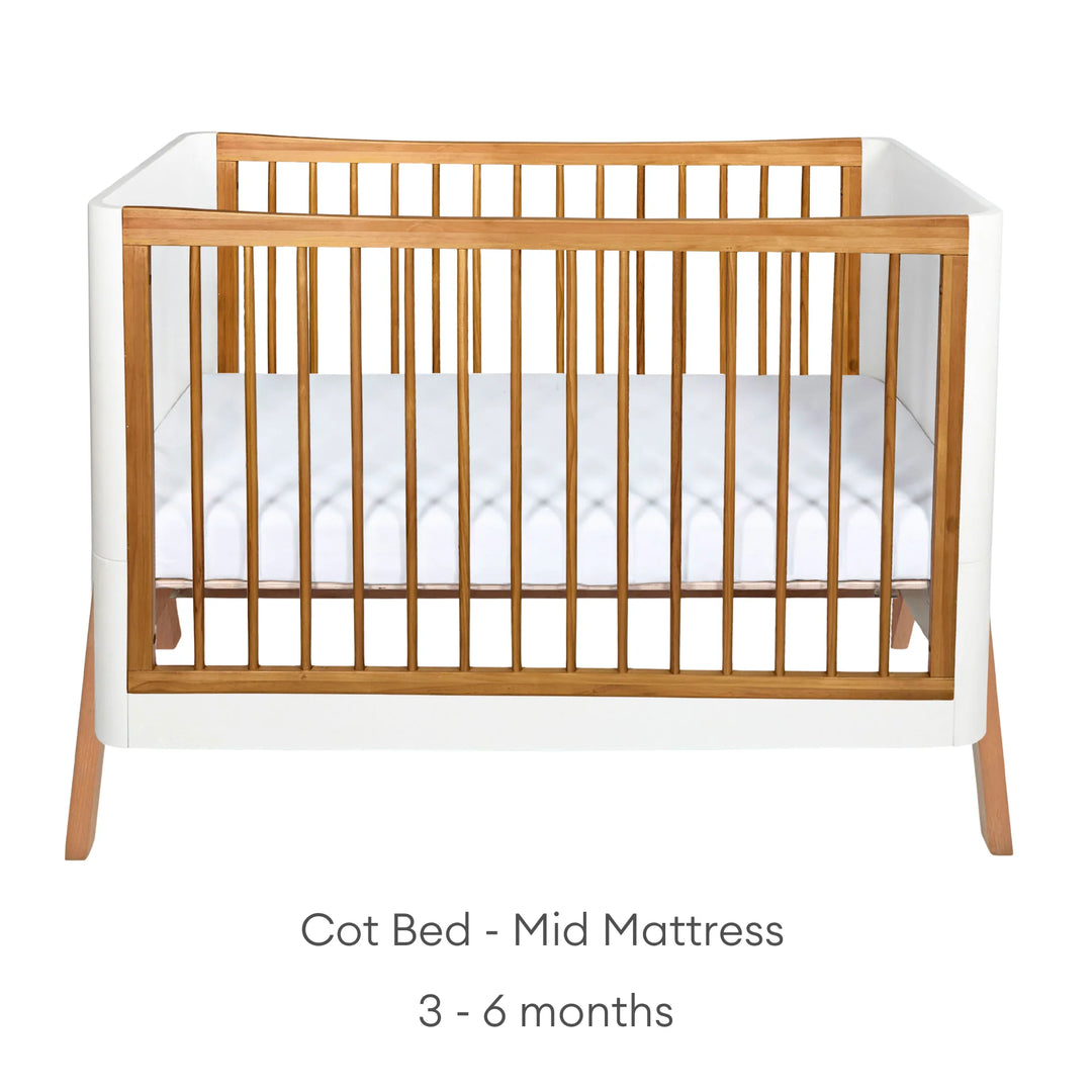 Hera Cot Bed 'Studio Edit'