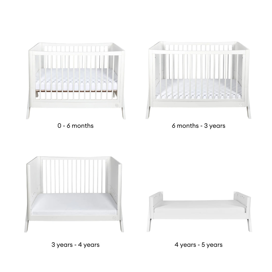 Hera Cot Bed 'Studio Edit'