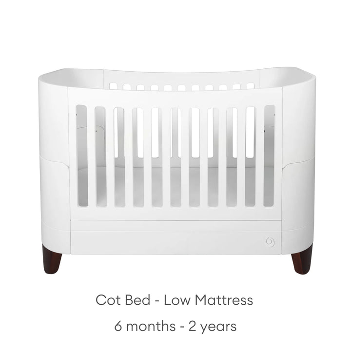 White Serena cot bed with walnut legs in low mattress setting, designed for babies aged 6 months to 2 years, displayed on a white background.
